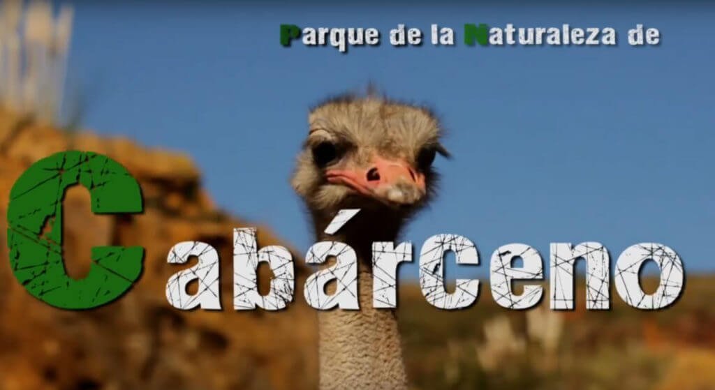 Parque de Cabárceno