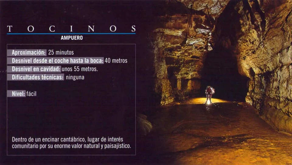 cueva-tocinos