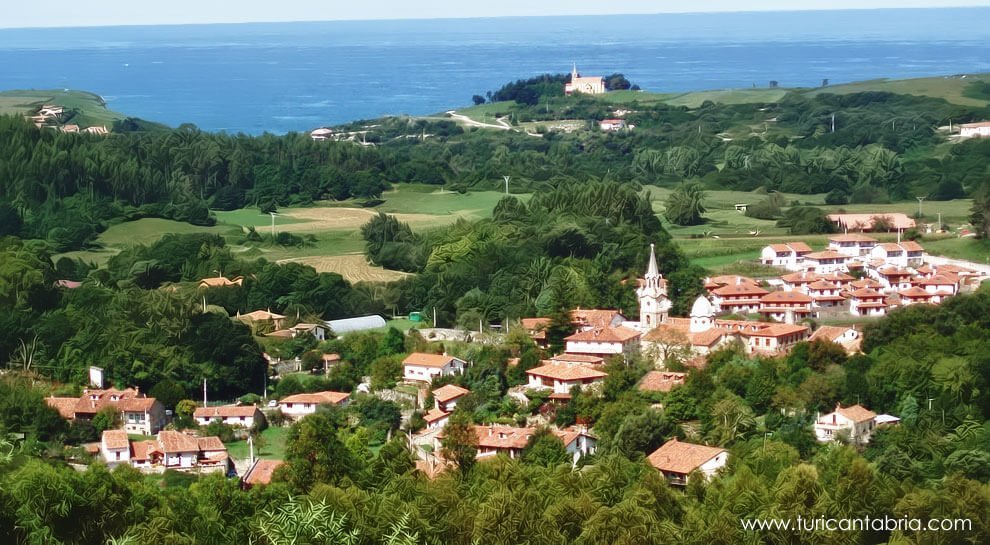 ruiloba