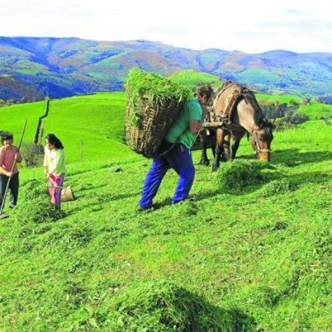 siega-cuevano-valles-pasiegos