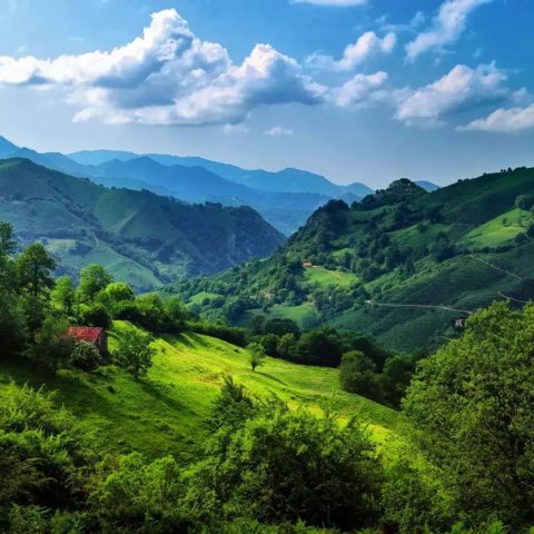 Turismo Cantabria Banner Portada