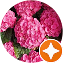 Anabel profile picture