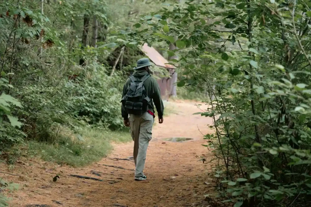 Cantabria y el Camino de Santiago una forma diferente de descubrir el norte de España